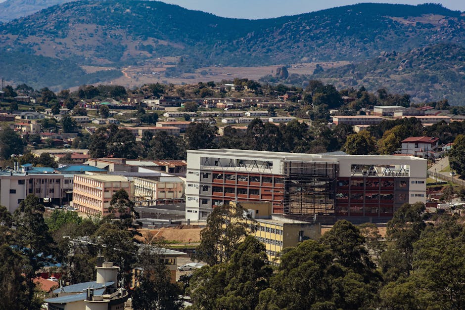 Plaaslike skoolomgewing